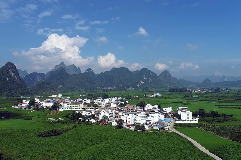 桑園環(huán)抱中的上坪村。